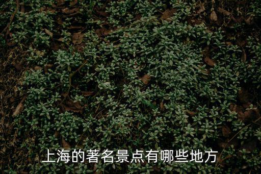 上海的著名景點有哪些地方