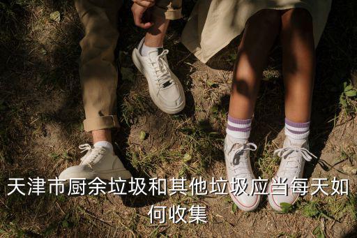 天津市廚余垃圾和其他垃圾應(yīng)當(dāng)每天如何收集