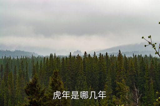 虎年年份,2020年是哪一年?