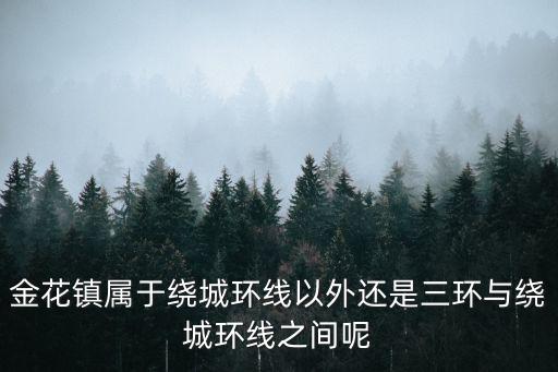 金花鎮屬于繞城環線以外還是三環與繞城環線之間呢
