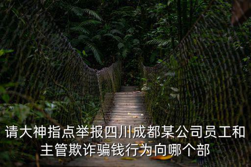 請大神指點舉報四川成都某公司員工和主管欺詐騙錢行為向哪個部