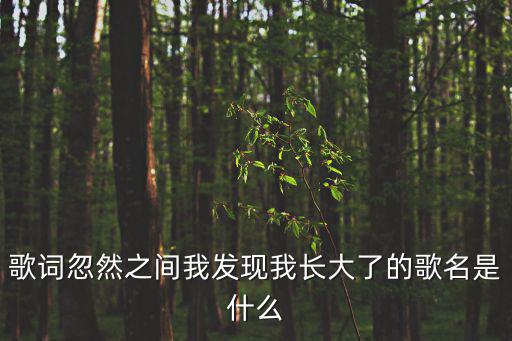 歌詞忽然之間我發(fā)現(xiàn)我長大了的歌名是什么