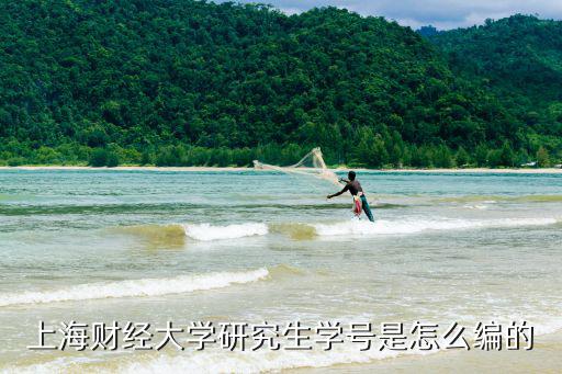 上海市財經大學編號，上海財經大學的郵政編碼是什么