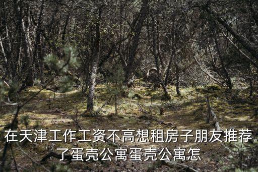 天津市夢享家公寓工作怎么樣，想報事業編看到天津市安居工程辦公室寫的是自收自支請問工