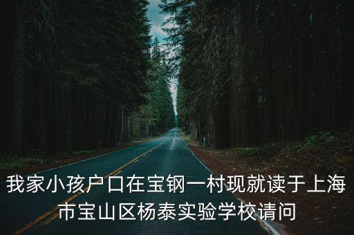 我家小孩戶口在寶鋼一村現就讀于上海市寶山區楊泰實驗學校請問