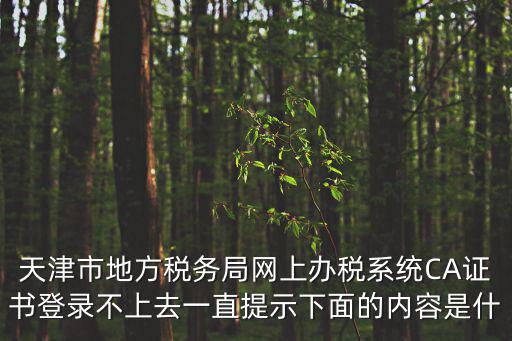 天津市地方稅務局網上辦稅系統CA證書登錄不上去一直提示下面的內容是什