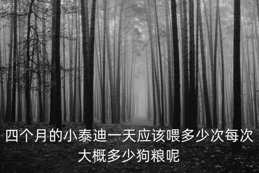 四個月的小泰迪一天應該喂多少次每次大概多少狗糧呢