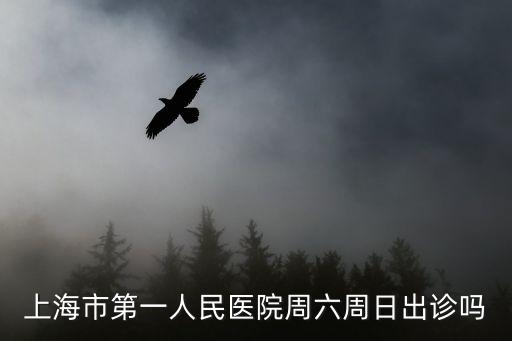 上海市第一人民醫院周六周日出診嗎