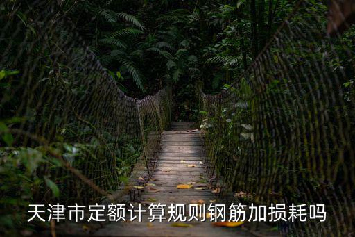 天津市2016年定額計(jì)算規(guī)則，天津市定額計(jì)算規(guī)則鋼筋加損耗嗎