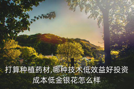 中藥材種植指南網,南寧五十多畝林地不知道種植什么藥材好