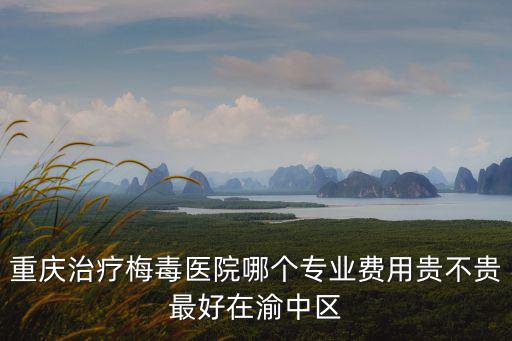 重慶治療梅毒醫院哪個專業費用貴不貴最好在渝中區