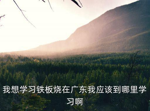 哪里可以學花式鐵板燒的廣州，廣州黃埔那里學鐵板燒烤技術培訓