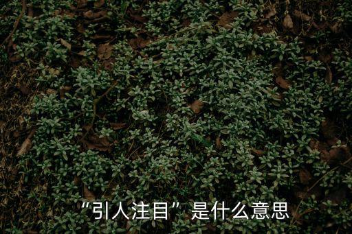 引人注目意思,引人注目武漢漢語