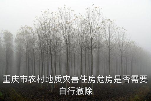 重慶市農(nóng)村地質(zhì)災(zāi)害住房危房是否需要自行撤除