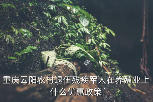 重慶云陽農村退伍殘疾軍人在養殖業上什么優惠政策