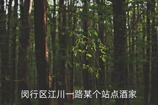 上海市閔行區江川1路，上海江川路在啥地方
