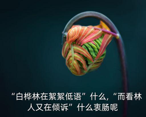 白樺林的低語,第二集:白樺林絮絮低語訴訴心聲
