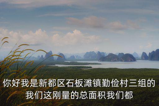 你好我是新都區(qū)石板灘鎮(zhèn)勤儉村三組的我們這剛量的總面積我們都