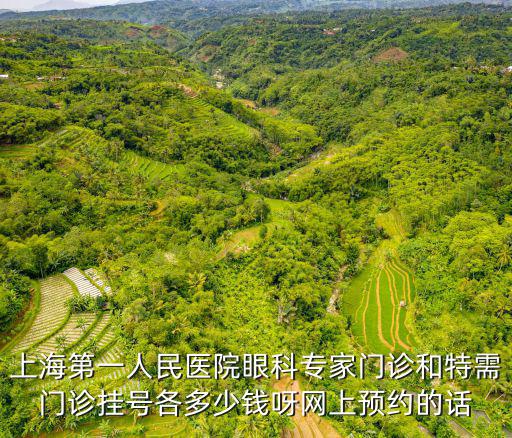 上海第一人民眼科醫院預約，上海第一人民醫院眼科專家門診和特需門診掛號各多少錢呀網上預約的話