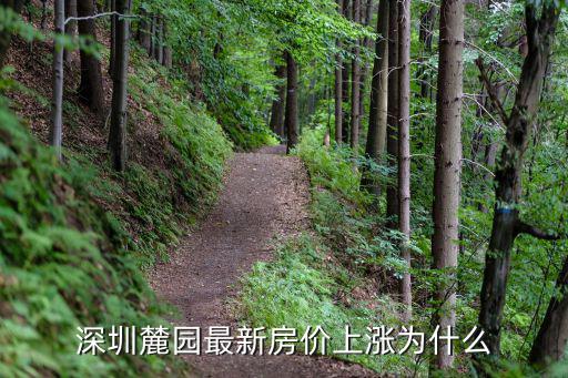 深圳哪個小區房價上漲，深圳麓園最新房價上漲為什么