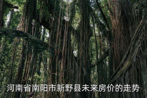 河南省南陽市新野縣未來房價的走勢