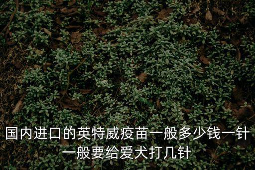 國內進口的英特威疫苗一般多少錢一針一般要給愛犬打幾針
