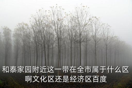 和泰家園附近這一帶在全市屬于什么區啊文化區還是經濟區百度