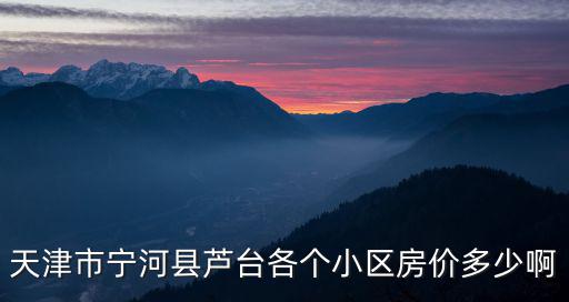 天津市寧河縣蘆臺各個小區房價多少啊