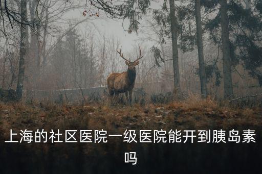 上海的社區醫院一級醫院能開到胰島素嗎