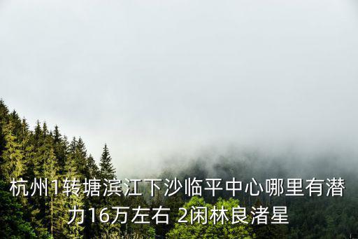 杭州1轉(zhuǎn)塘濱江下沙臨平中心哪里有潛力16萬左右 2閑林良渚星