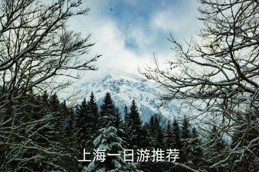 上海一日游推薦