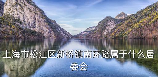 上海市松江區世紀新城居委會，松江世紀新城的那條街道是什么街道啊