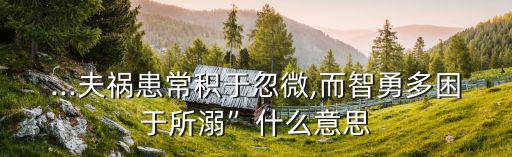 ...夫禍患常積于忽微,而智勇多困于所溺”什么意思