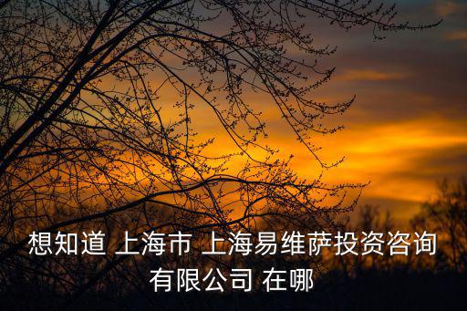 想知道 上海市 上海易維薩投資咨詢有限公司 在哪