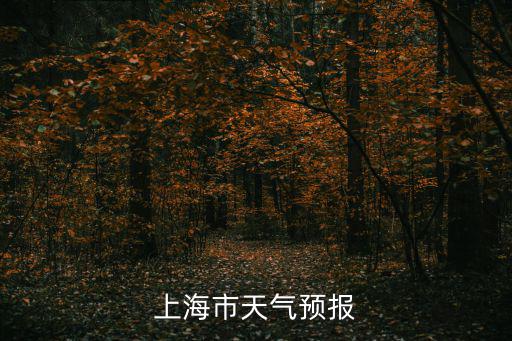 上海市天氣預報