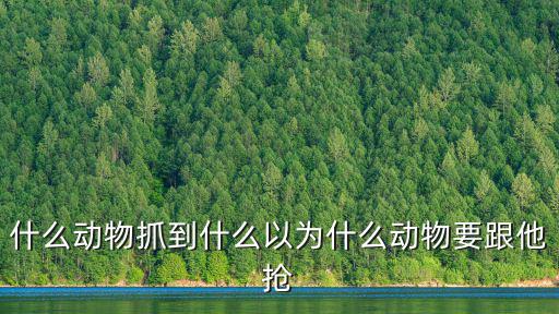 獵搶,大草原上勤搶食獵物鬣狗體型略大于雌獵豹