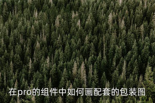 在pro的組件中如何畫配套的包裝圖