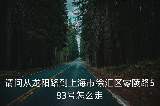 請問從龍陽路到上海市徐匯區零陵路583號怎么走