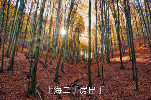 上海二手房出手
