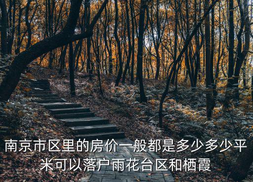 南京市區里的房價一般都是多少多少平米可以落戶雨花臺區和棲霞
