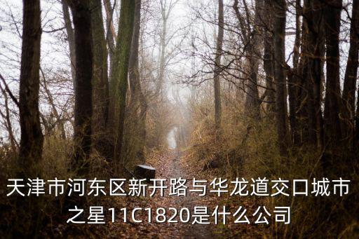 天津市河東區新開路與華龍道交口城市之星11C1820是什么公司