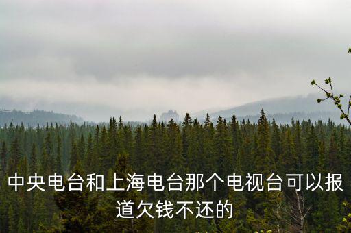 老百姓如何向中央求助，中央電臺和上海電臺那個電視臺可以報道欠錢不還的