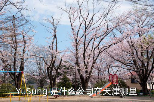 YuSung 是什么公司在天津哪里