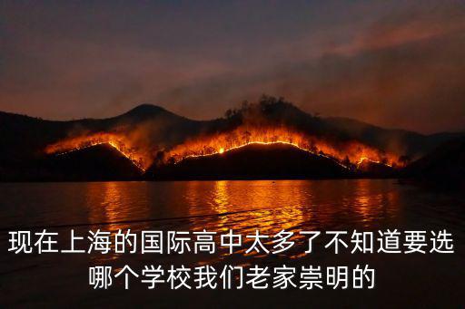 現在上海的國際高中太多了不知道要選哪個學校我們老家崇明的