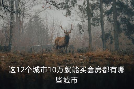 這12個城市10萬就能買套房都有哪些城市