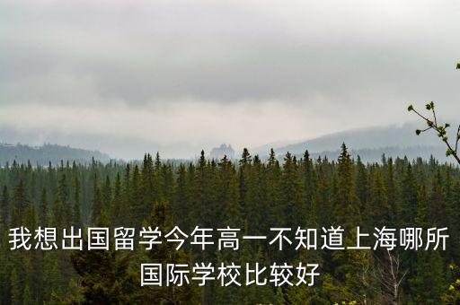 我想出國留學今年高一不知道上海哪所國際學校比較好