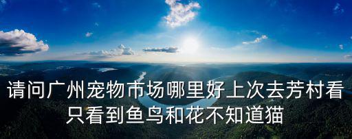 請問廣州寵物市場哪里好上次去芳村看只看到魚鳥和花不知道貓