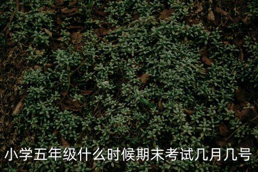 小學(xué)五年級(jí)什么時(shí)候期末考試幾月幾號(hào)