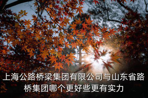 上海公路橋梁集團有限公司與山東省路橋集團哪個更好些更有實力