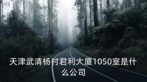 天津武清楊村君利大廈1050室是什么公司